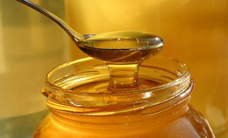 自然成熟蜂蜜的特點(diǎn)(怎么辨別成熟的蜂蜜) 自然成熟蜂蜜的特點(diǎn)(怎么辨別成熟的蜂蜜)