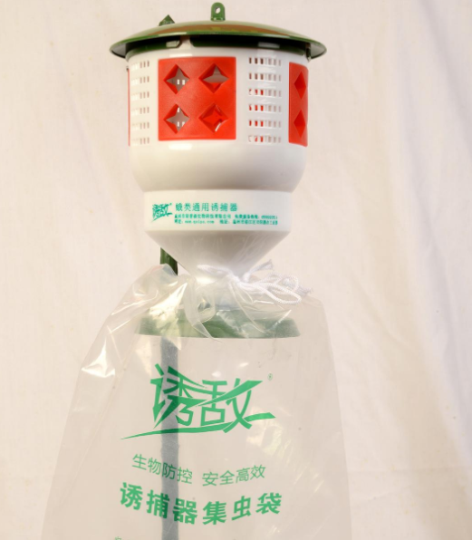 中蜂養蜂場怎樣預防蠟蛾(看看老外如何防治蠟螟) 中蜂養蜂場怎樣預防蠟蛾(看看老外如何防治蠟螟)