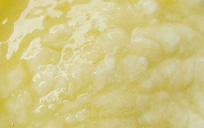 蜂王漿是哪種蜜蜂吃的（蜂王漿的營養價值）