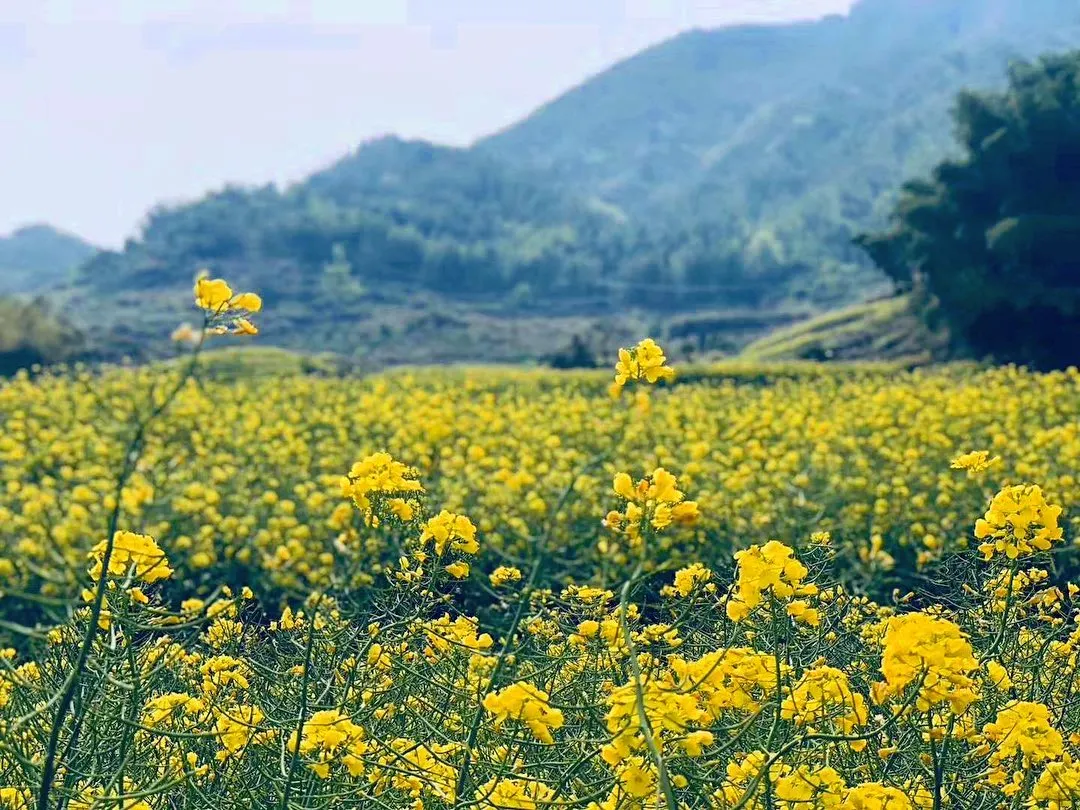 中秋出行！新晉黑馬目的地TOP10，小眾海島、賞秋秘境、文化慢城