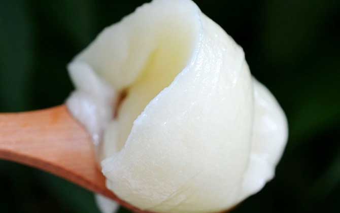 椴樹雪蜜多少錢一斤（正品東北黑蜂椴樹雪蜜價(jià)格）