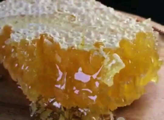 阿壩中蜂的養(yǎng)殖方法有哪些(四川阿壩中蜂春季飼養(yǎng)技術(shù)) 阿壩中蜂的養(yǎng)殖方法有哪些(四川阿壩中蜂春季飼養(yǎng)技術(shù))