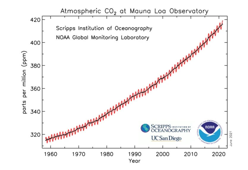 赤道旁喀麥隆下雪 赤道附近喀麥隆罕見降雪!人類正處在大冰期中,全球變暖錯了?