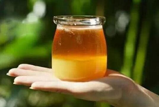 虎頭蜂酒真的能壯陽嗎(虎頭蜂酒怎么喝) 虎頭蜂酒真的能壯陽嗎(虎頭蜂酒怎么喝)