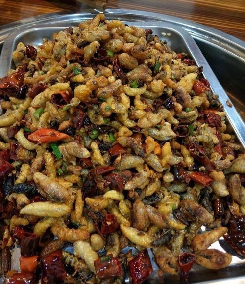 胡蜂養(yǎng)殖市場分析(學點皮毛輕松掌握胡蜂養(yǎng)殖技術(shù)) 胡蜂養(yǎng)殖市場分析(學點皮毛輕松掌握胡蜂養(yǎng)殖技術(shù))