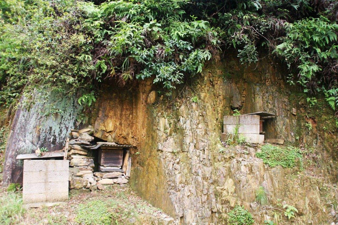 中蜂囊狀幼蟲病如何防治？