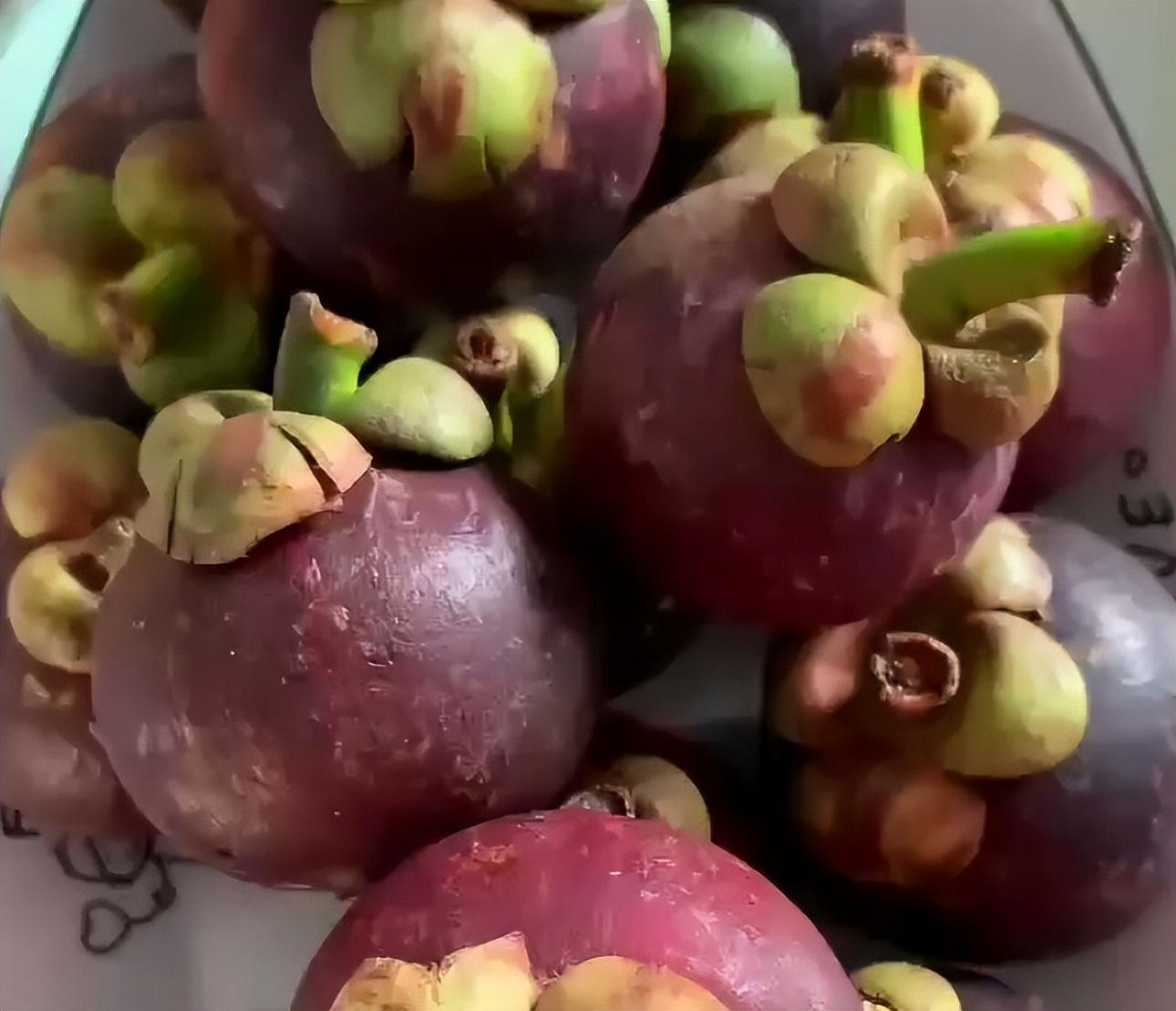 山竹長(zhǎng)在土里還是樹上(山竹生長(zhǎng)的地方和栽培技術(shù)) 山竹長(zhǎng)在土里還是樹上(山竹生長(zhǎng)的地方和栽培技術(shù))