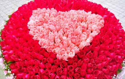 999朵玫瑰代表什么(999朵玫瑰花的寓意和花語) 999朵玫瑰代表什么(999朵玫瑰花的寓意和花語)