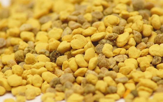 蜂花粉的作用與功效有哪些？經常吃些蜂花粉，這7個好處跑不了！