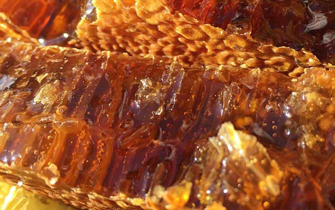 蜂巢酒的禁忌有哪些？除了不能過量飲用，還要警惕發(fā)生過敏反應(yīng)！