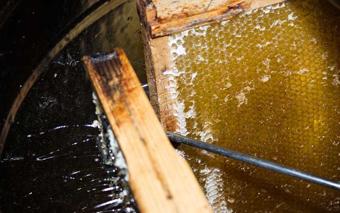 真蜂蜜大概多少錢一斤？最便宜的都要50元，有些甚至要200多元！