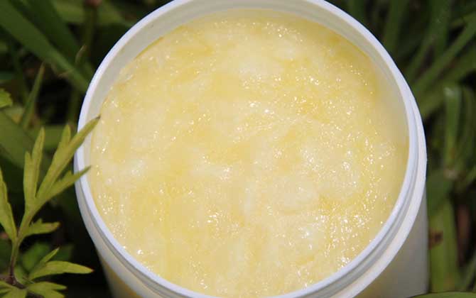 女性吃蜂王漿的最佳時間，建議盡量空腹食用，但不能過量食用！