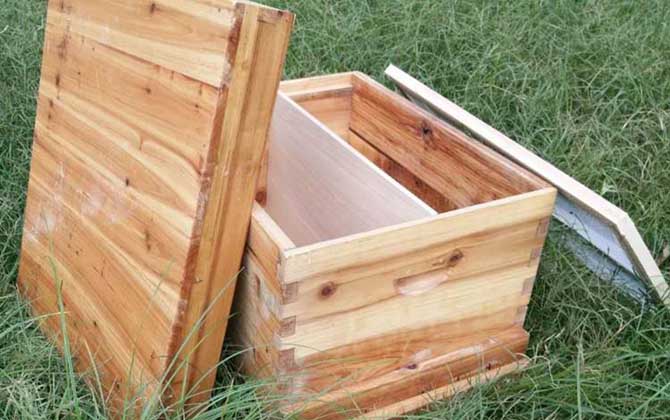 養中蜂工具大全及價格，使用這些工具，中蜂養殖將事半功倍！