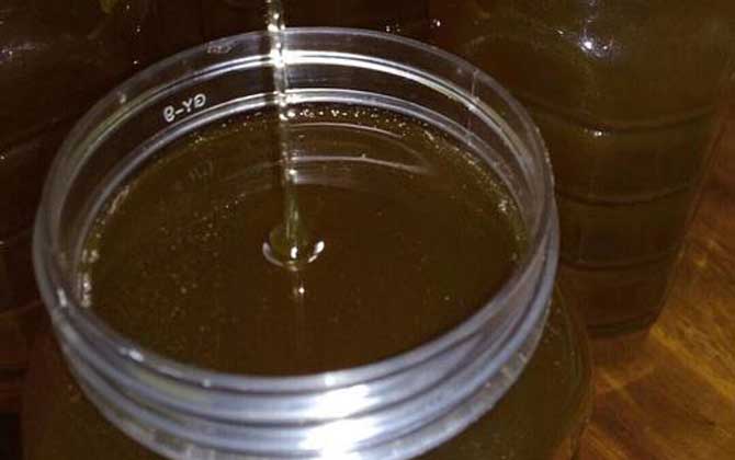 龍眼蜜價格多少錢一斤？