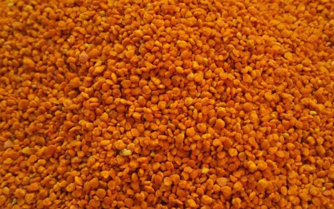 茶花粉和菜花粉哪個好？