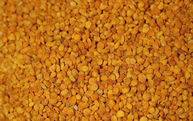 茶花粉適合什么人吃？