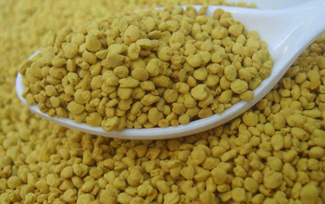 油菜花粉對性功能有好處嗎？