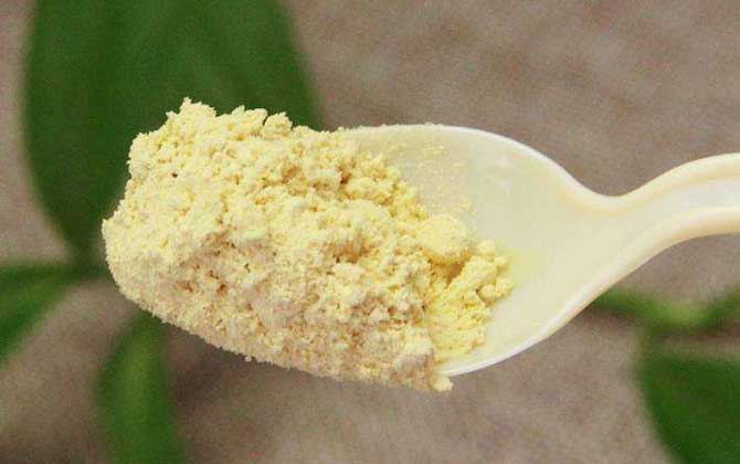 吃松花粉能治肝病嗎？