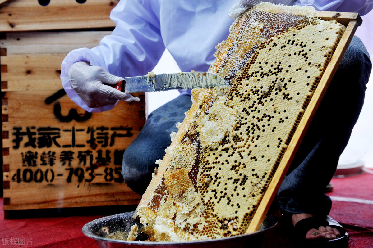 什么時(shí)候取蜜對(duì)蜂群的傷害最?。ㄈ∽叻涿蹖?duì)蜜蜂有影響嗎）