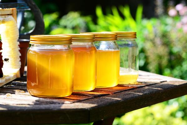 很那蜜源植物有哪些（鄉(xiāng)下野外都有哪些主要蜜源植物）