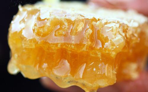 蜜橙屬于柑橘嗎（蜜香橙介紹）